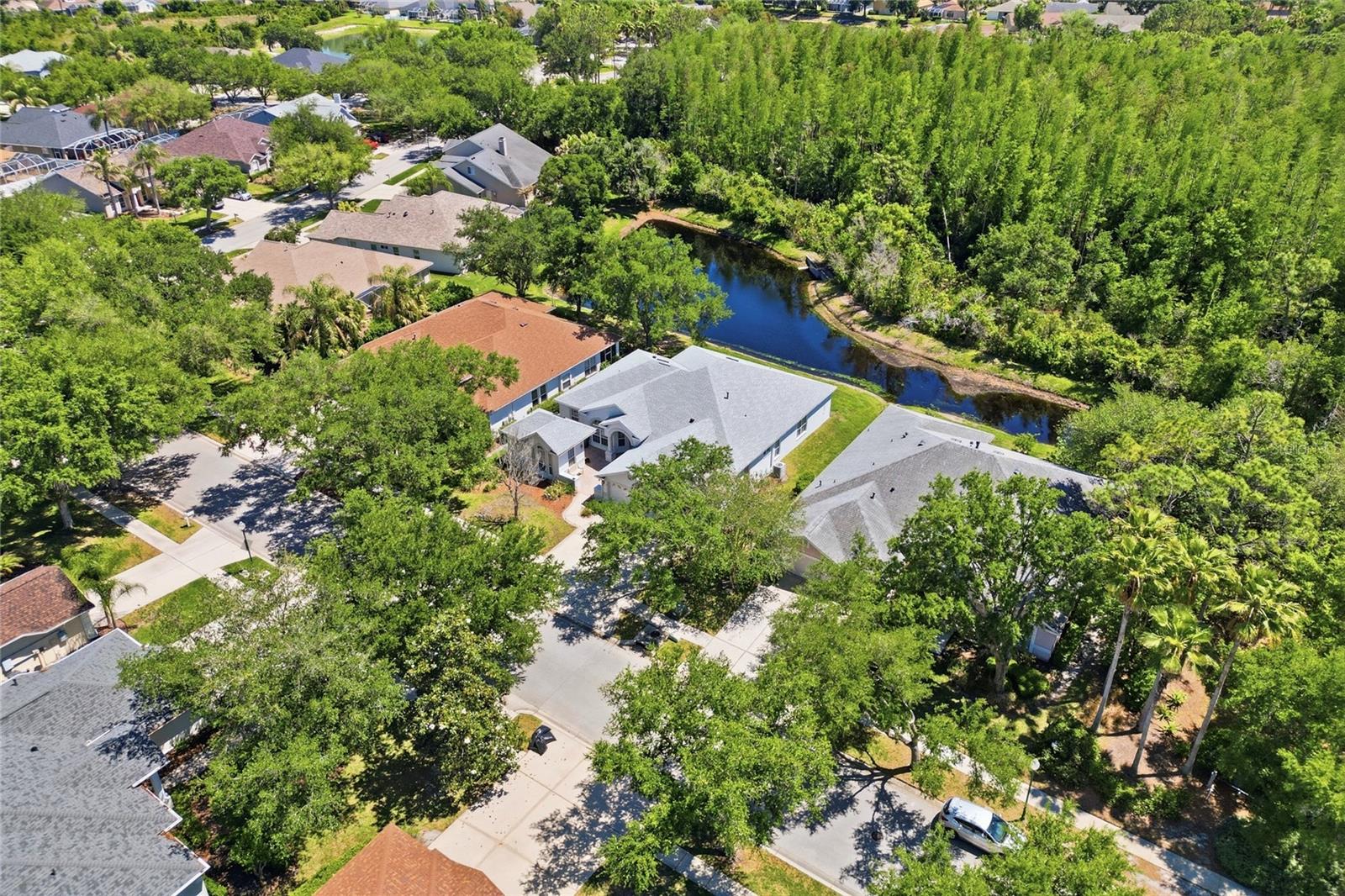 Image 6 of 88 For 10206 Shadow Branch Drive