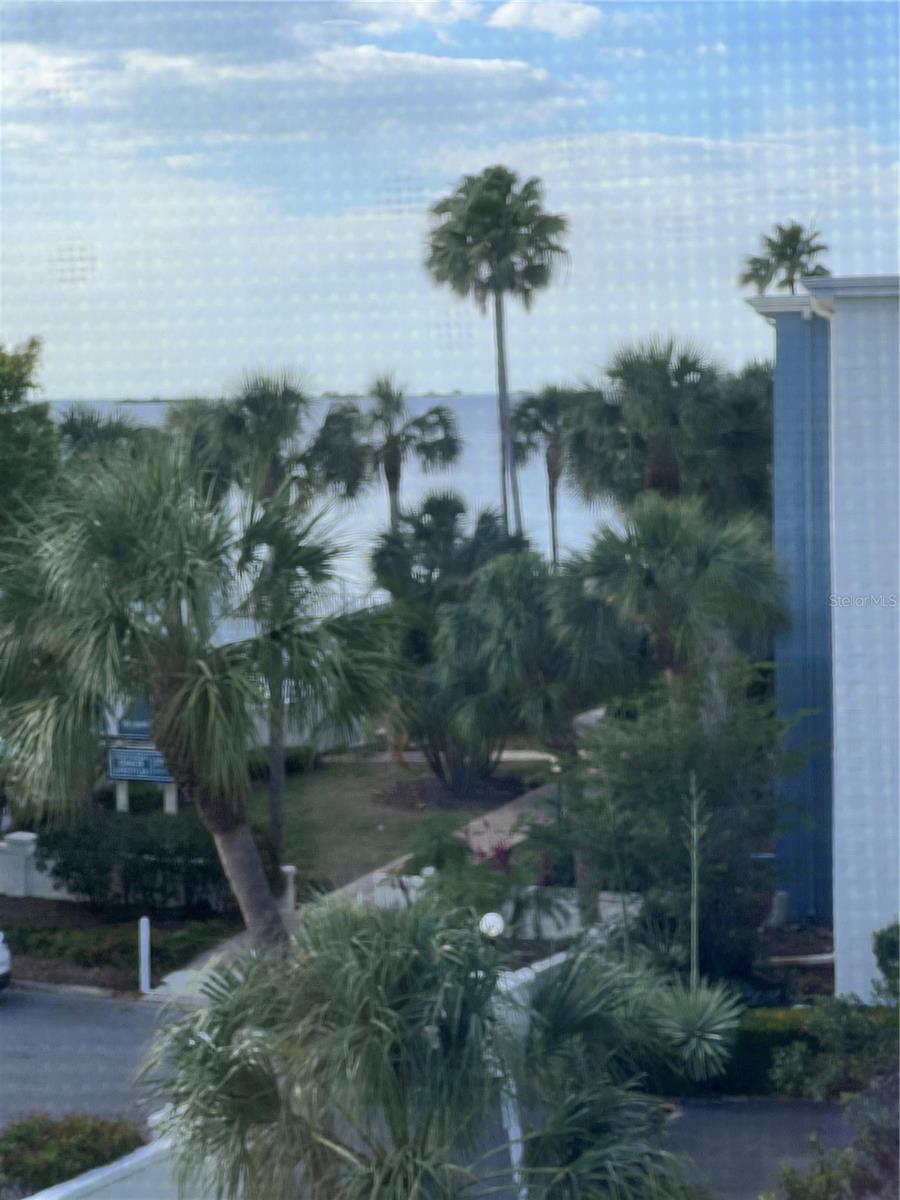 Details for 2651 Michael Place 307, DUNEDIN, FL 34698