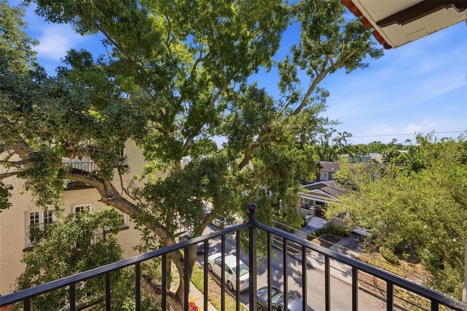 Image 24 of 25 For 2117 Dekle Avenue K3