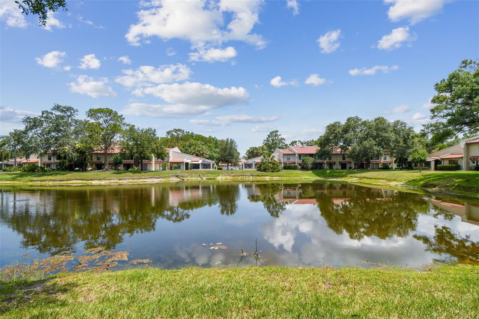 Image 57 of 62 For 3505 Tarpon Woods Boulevard P404