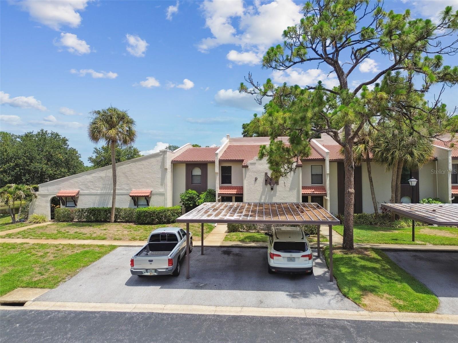 Image 59 of 62 For 3505 Tarpon Woods Boulevard P404