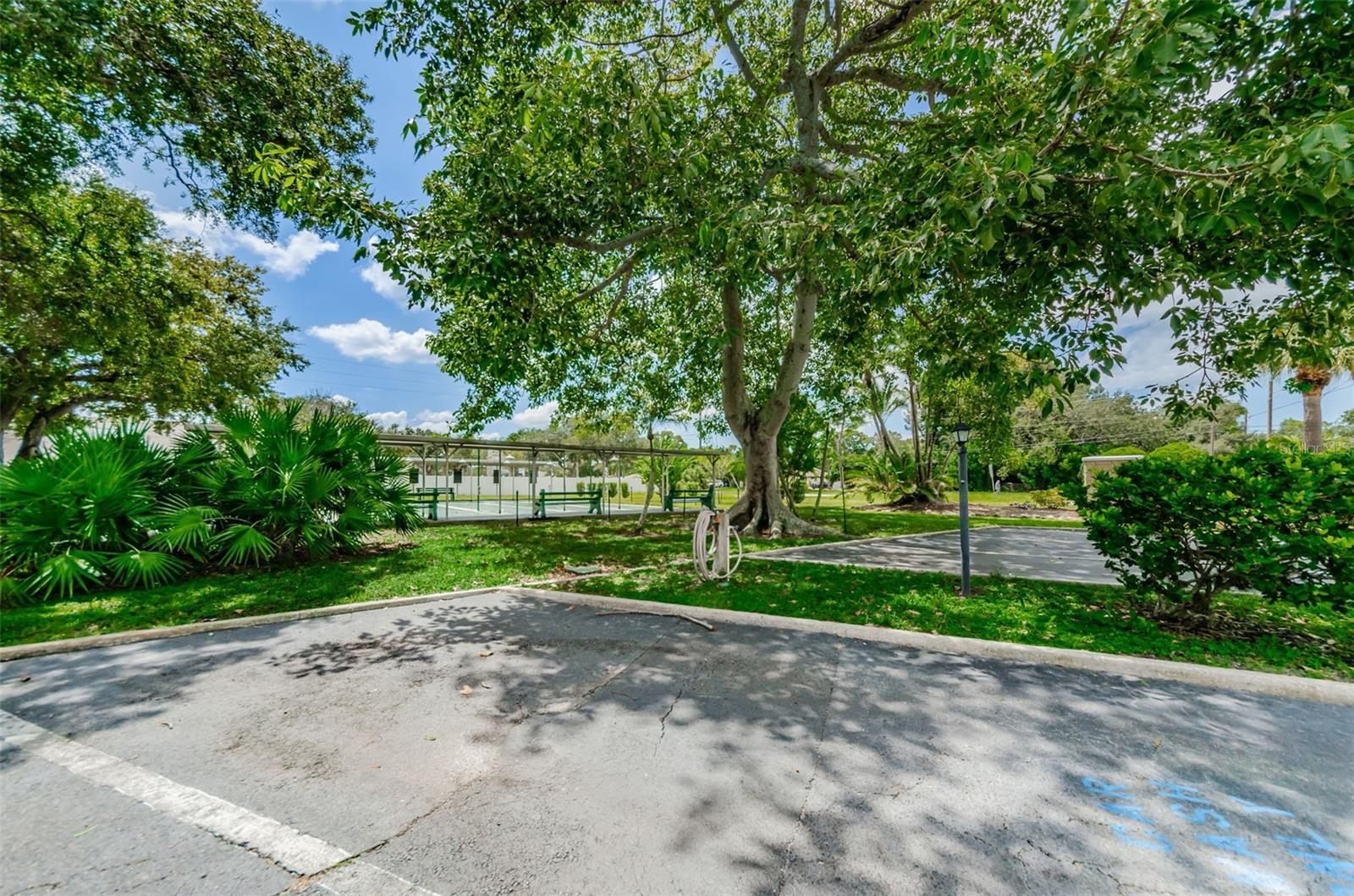 Image 37 of 40 For 4051 58th Street N 243