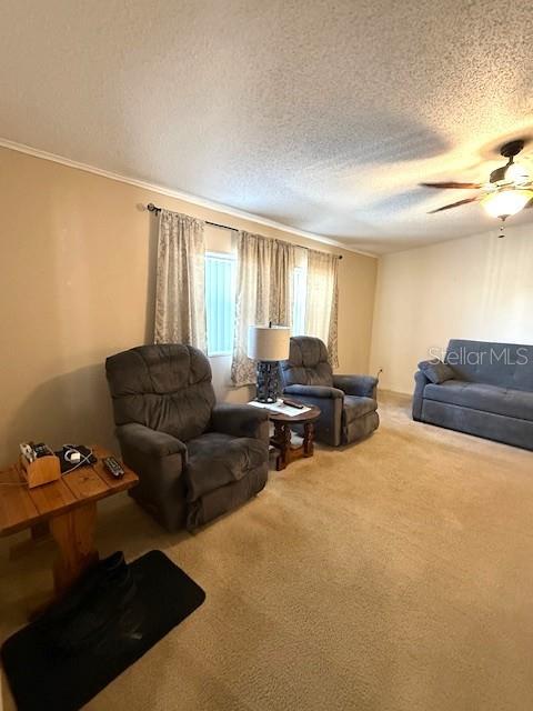 Image 23 of 28 For 1001 Starkey Rd. Lot 731 Curacao