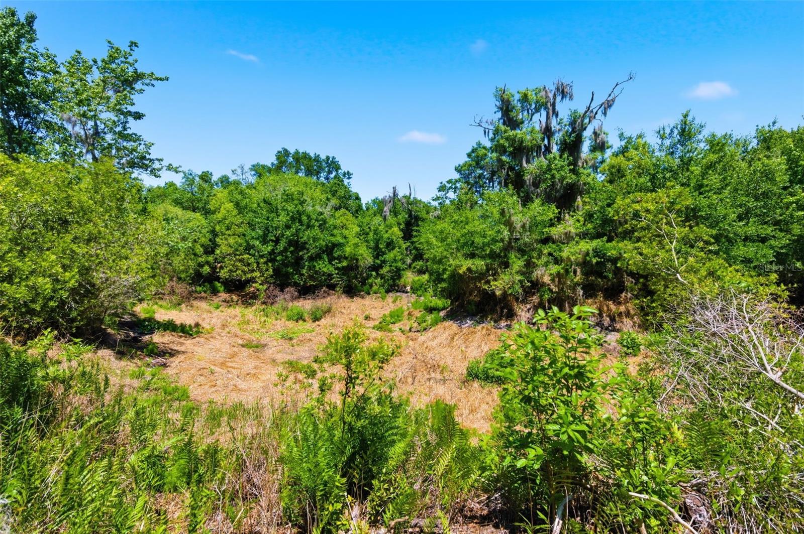 Image 8 of 21 For 19084 Red Bird Lane Lot 5