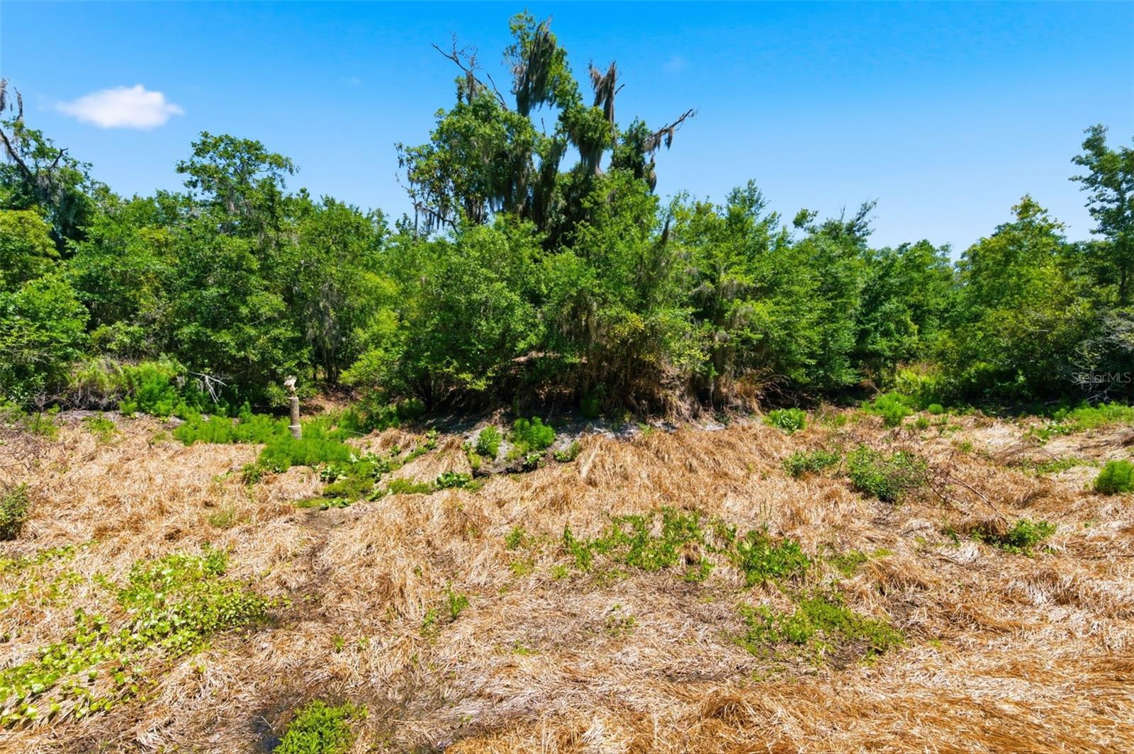 Image 9 of 21 For 19084 Red Bird Lane Lot 5