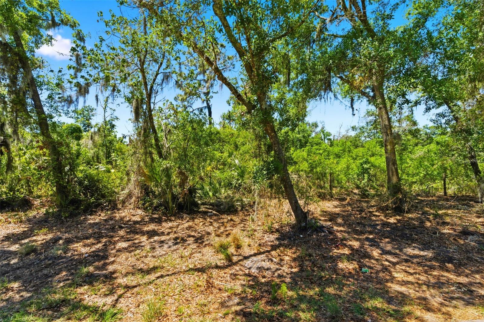 Image 6 of 21 For 19084 Red Bird Lane Lot 1