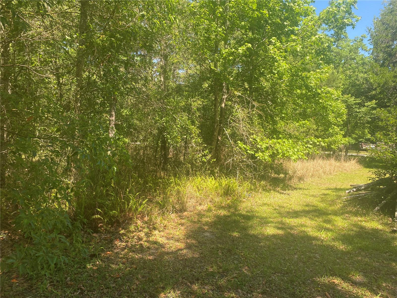 Image 10 of 18 For Ardmore Road