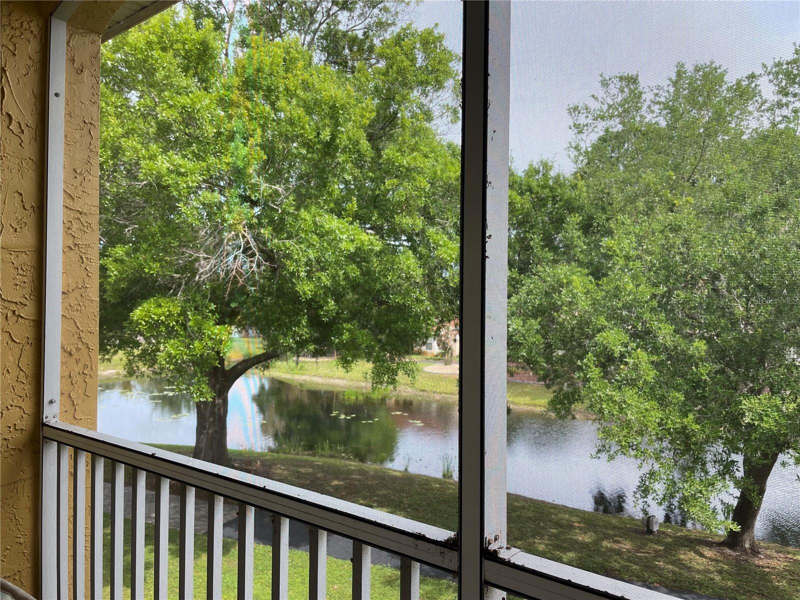 Image 7 of 16 For 6816 Dali Avenue 205