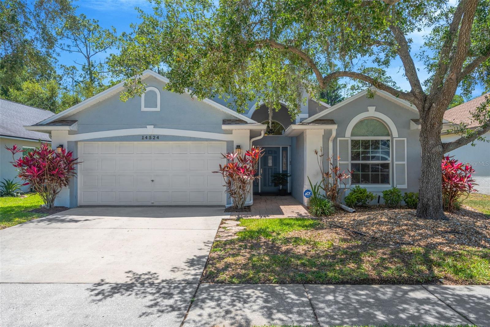 Details for 14524 Weeping Elm Drive, TAMPA, FL 33626