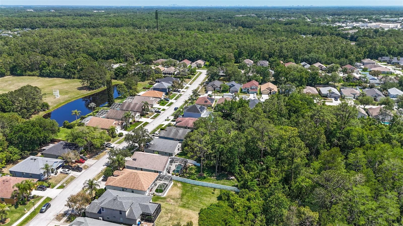 Image 39 of 45 For 14524 Weeping Elm Drive