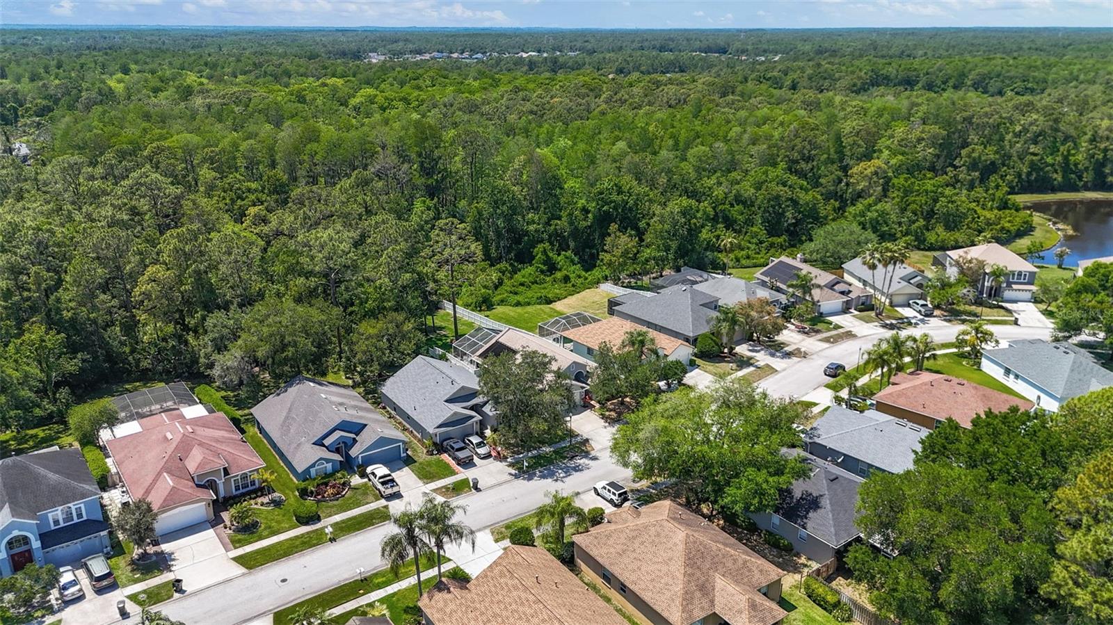 Image 41 of 45 For 14524 Weeping Elm Drive