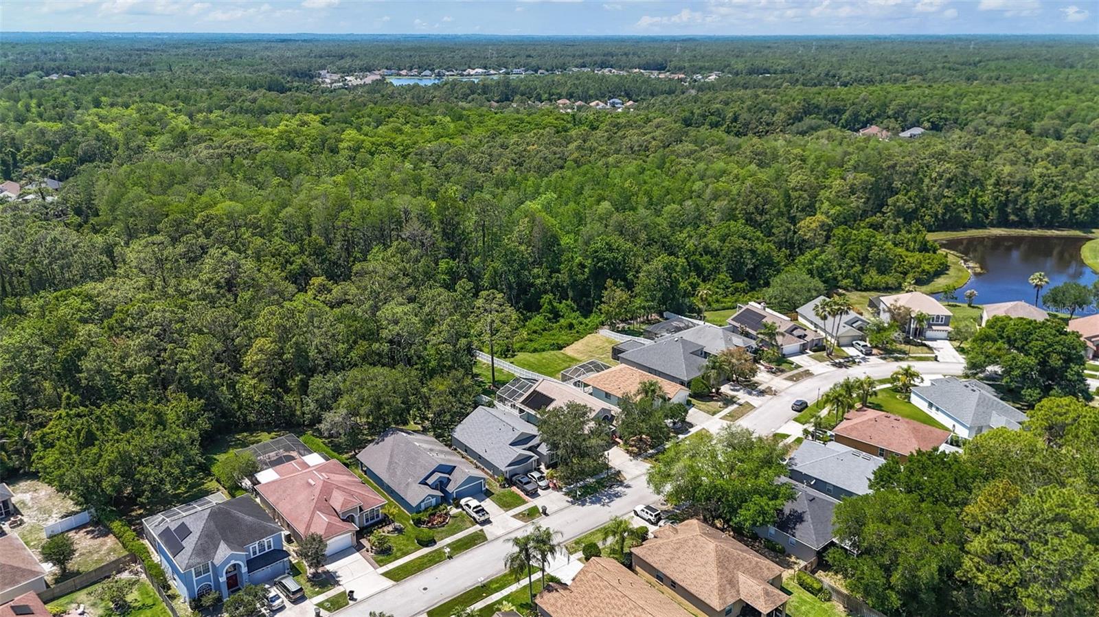 Image 44 of 45 For 14524 Weeping Elm Drive