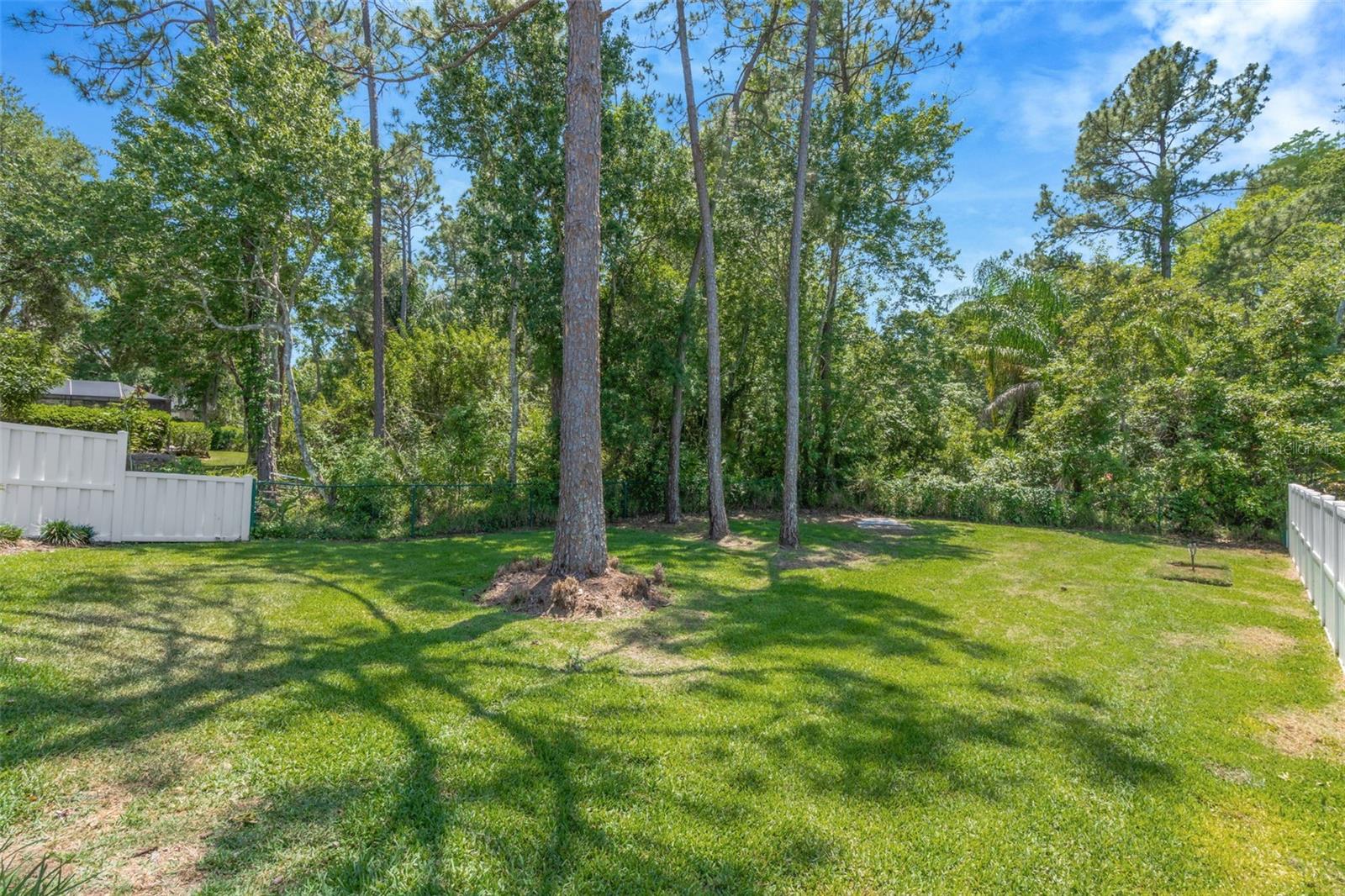 Image 6 of 45 For 14524 Weeping Elm Drive