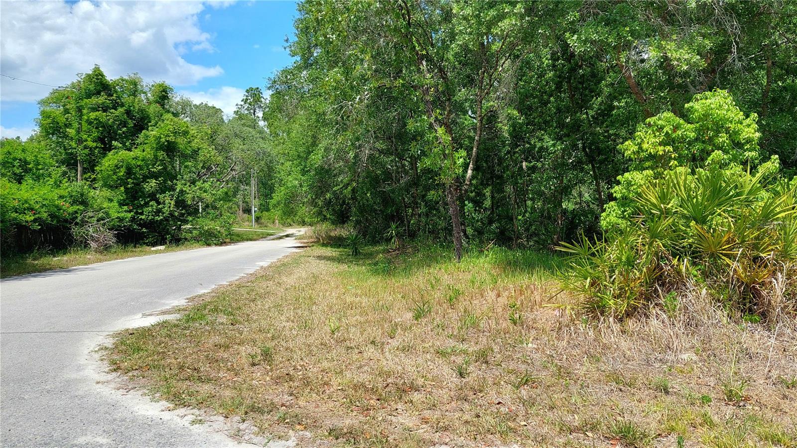 Image 2 of 4 For  Davista  