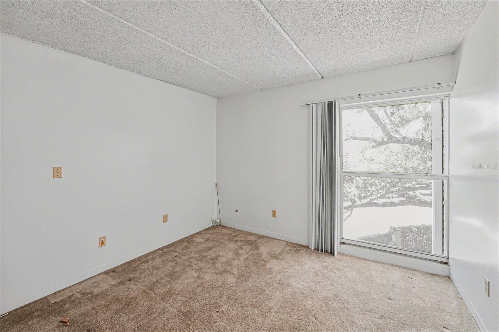 Image 11 of 31 For 3325 Bayshore Boulevard F36