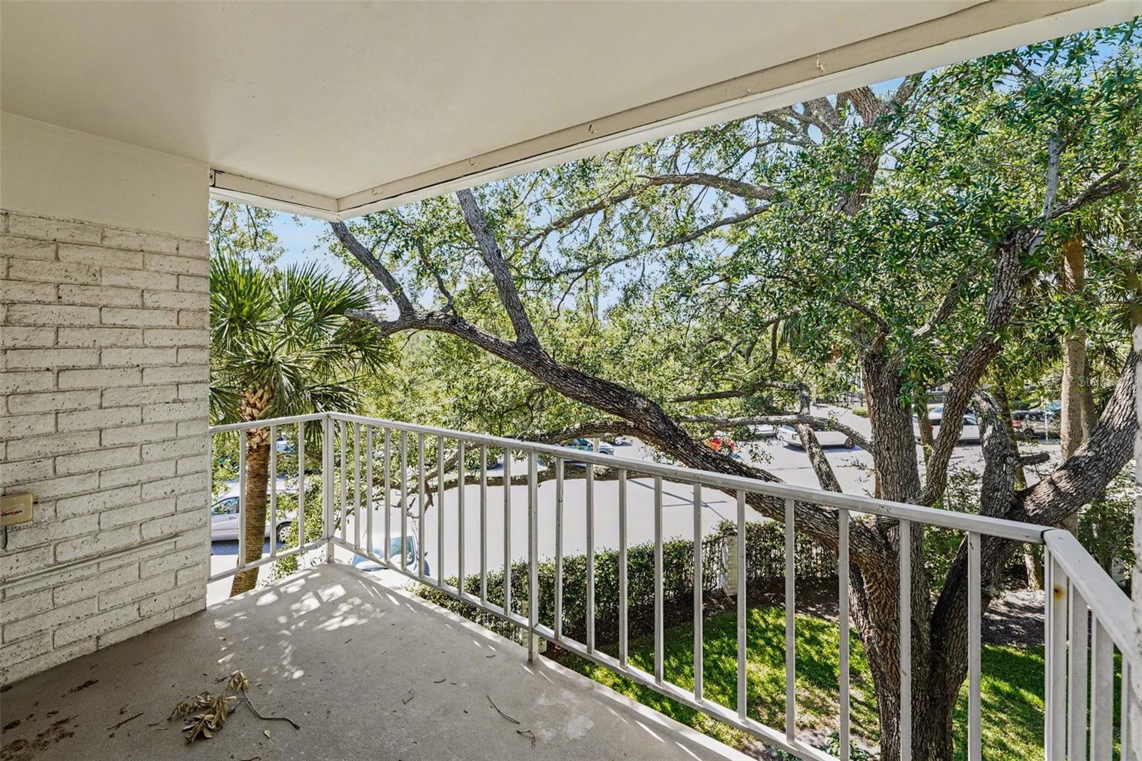 Image 17 of 31 For 3325 Bayshore Boulevard F36