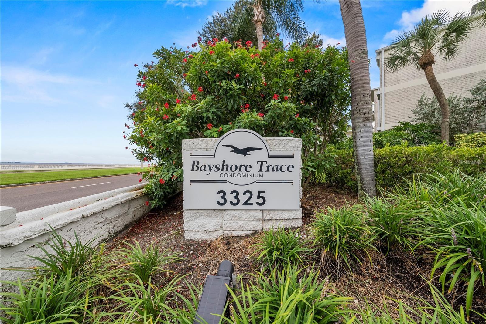 Image 31 of 31 For 3325 Bayshore Boulevard F36