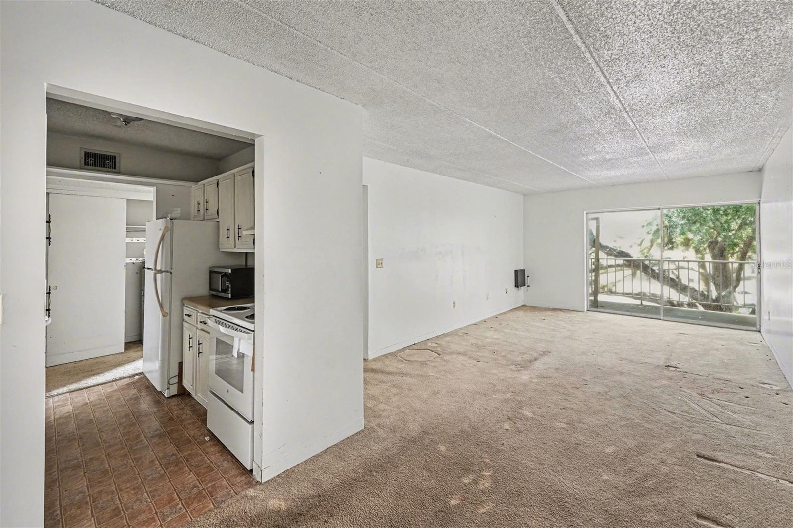 Image 4 of 31 For 3325 Bayshore Boulevard F36