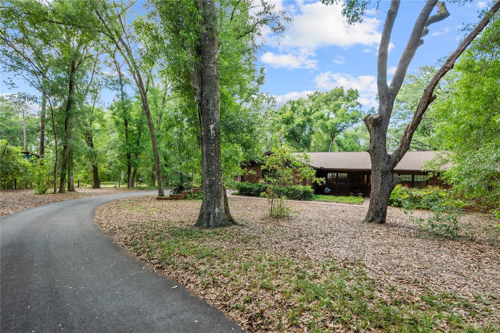 Image 3 of 51 For 35935 Lana Drive