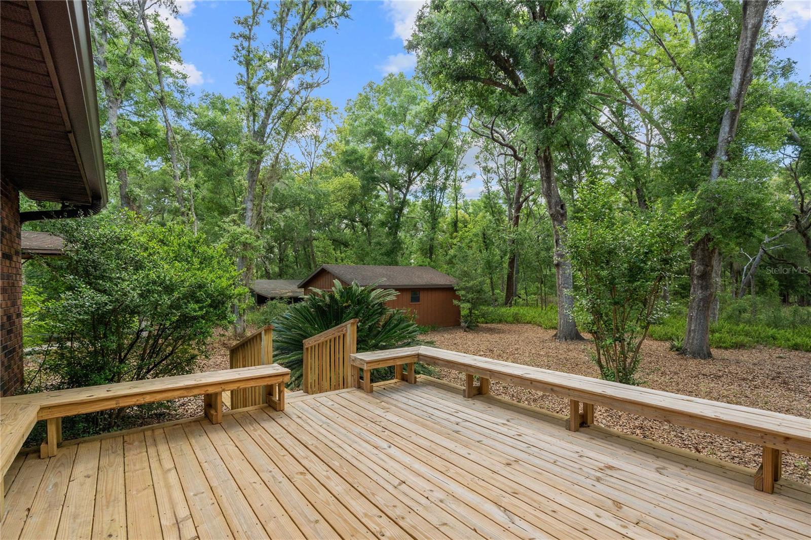 Image 32 of 51 For 35935 Lana Drive