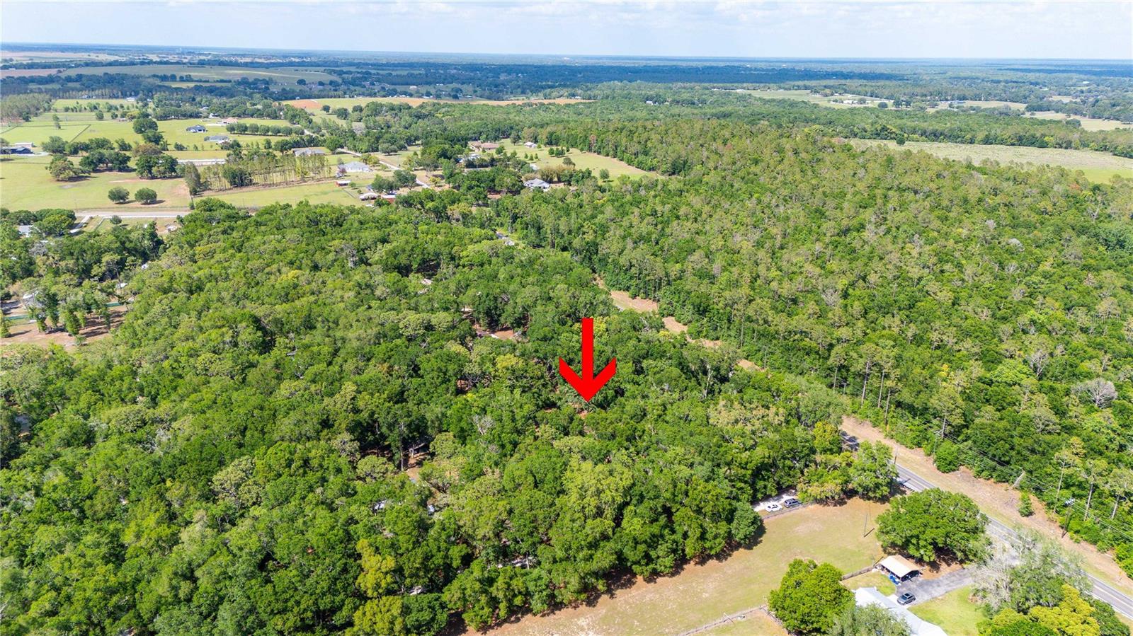 Image 46 of 51 For 35935 Lana Drive