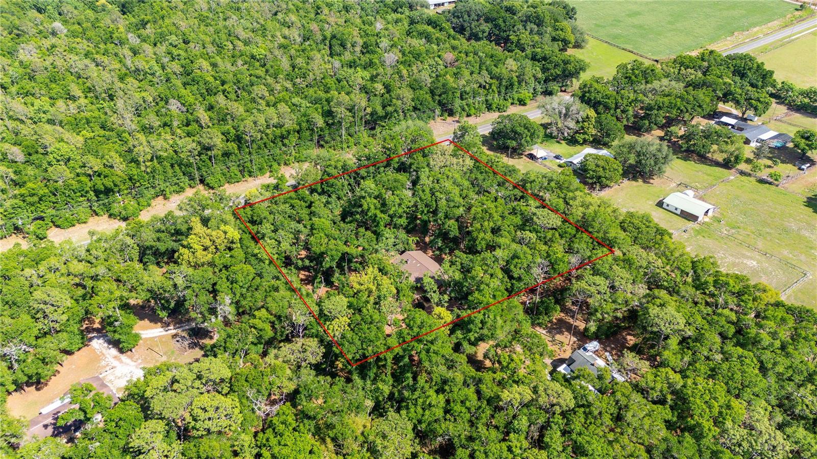 Image 48 of 51 For 35935 Lana Drive