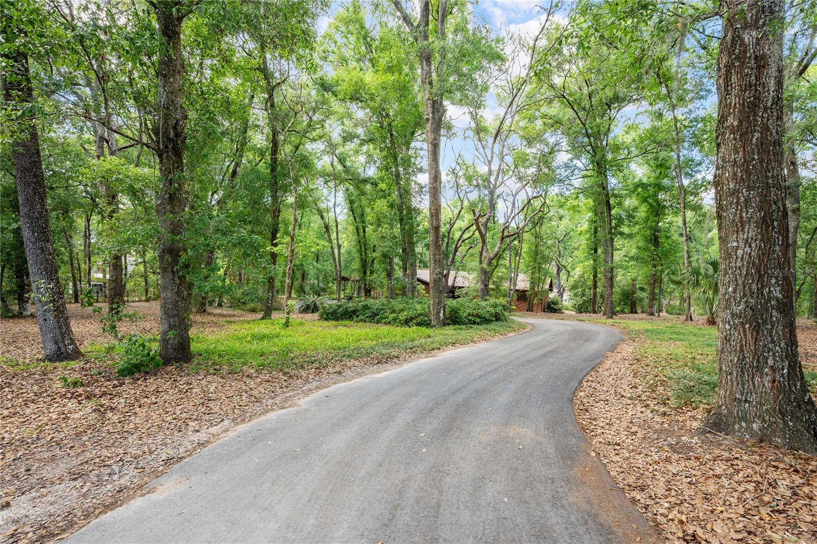 Image 49 of 51 For 35935 Lana Drive