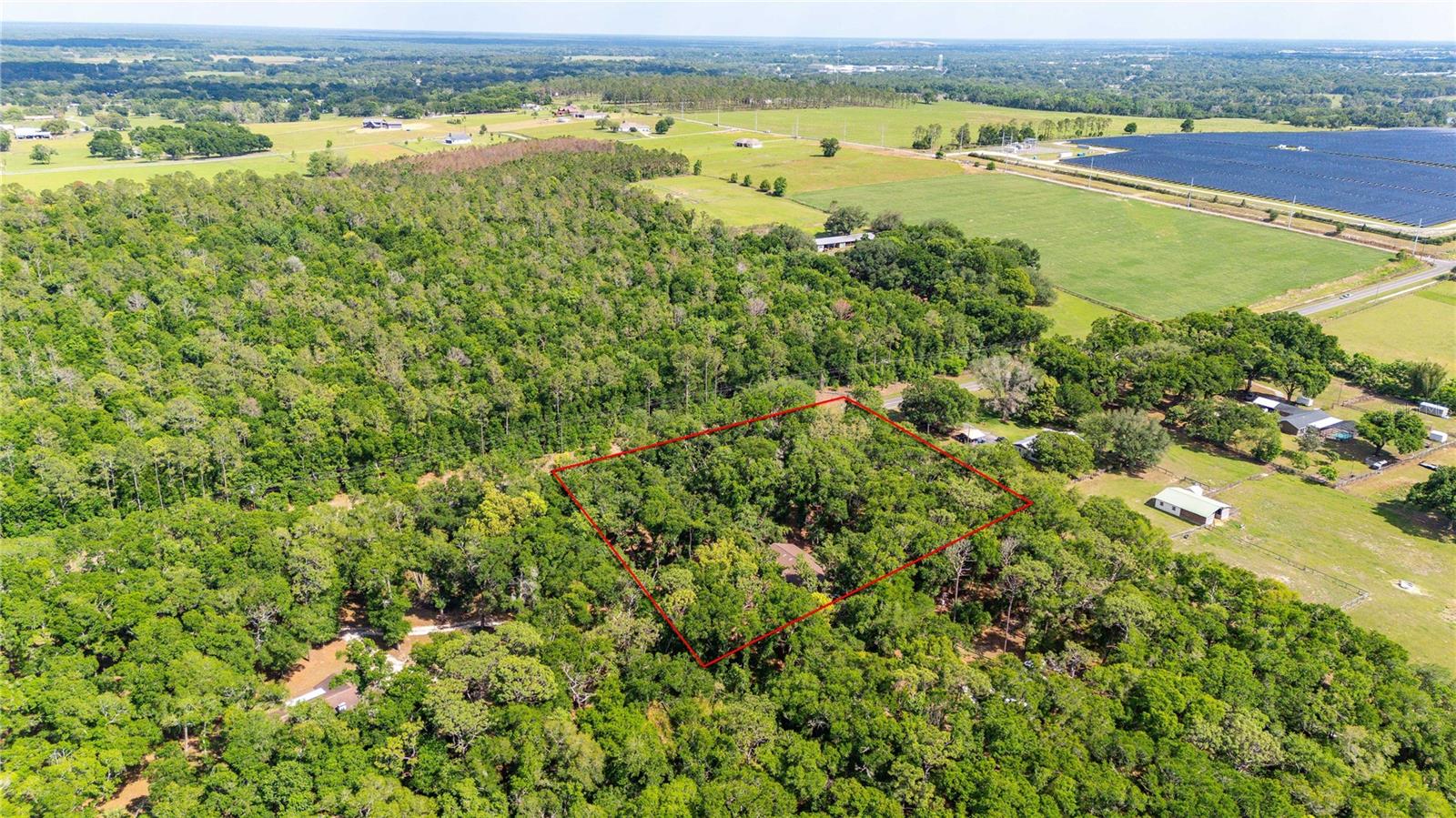 Image 50 of 51 For 35935 Lana Drive