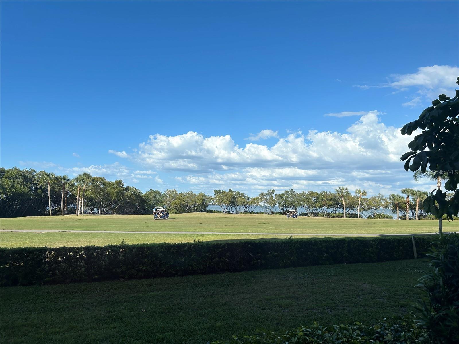 Image 11 of 11 For 2618 Cove Cay Drive 103