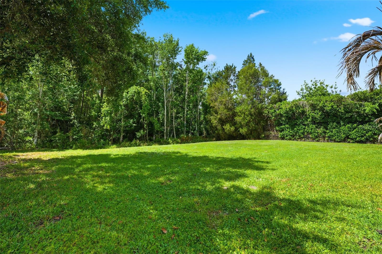 Listing photo id 58 for 8005 Cypress Crossing Court