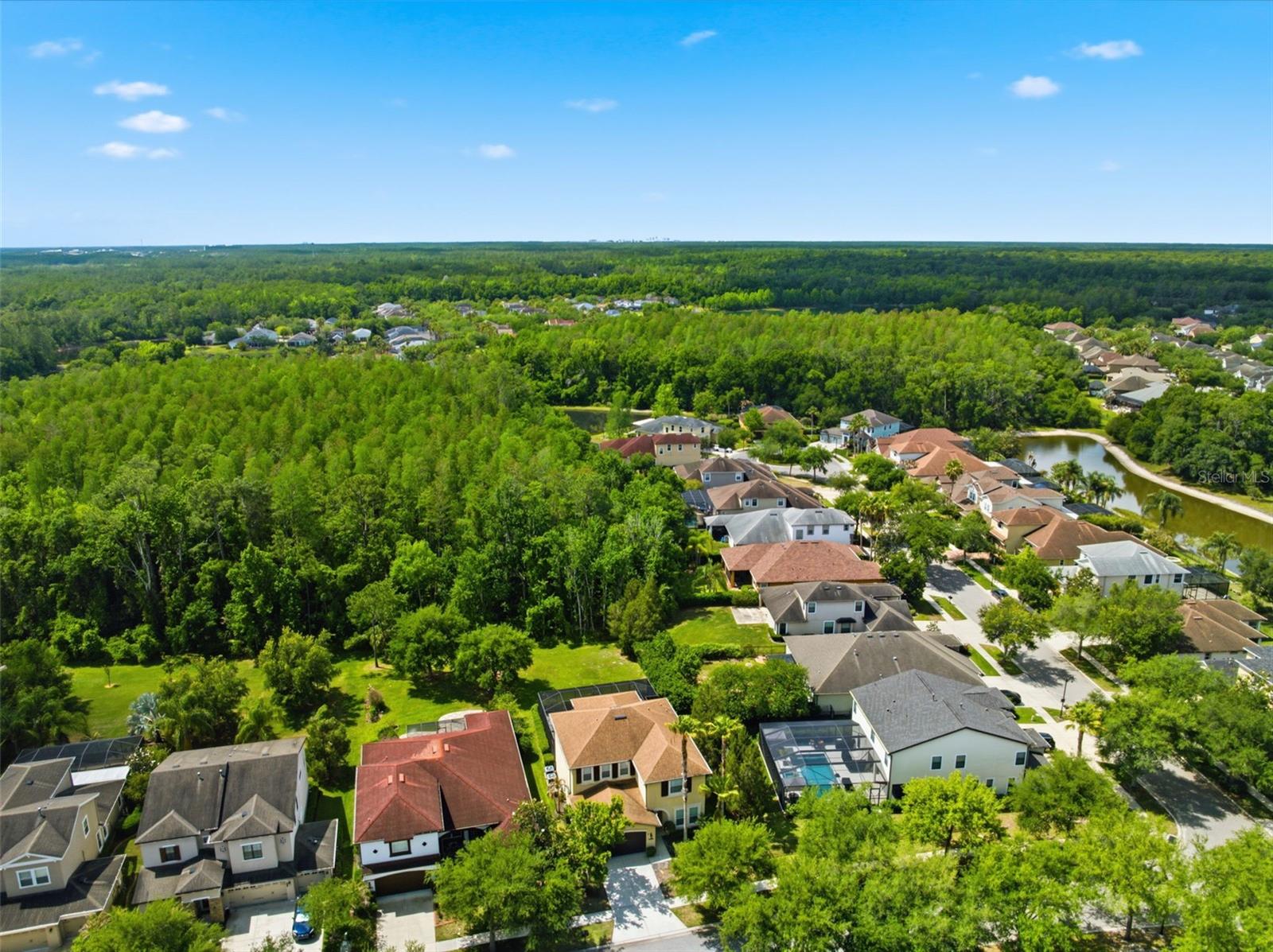 Listing photo id 67 for 8005 Cypress Crossing Court