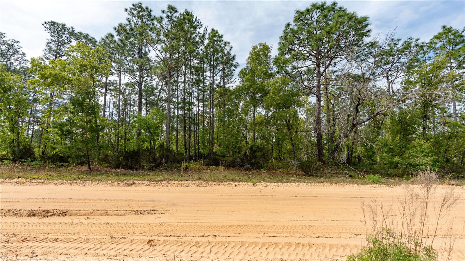 Image 25 of 44 For 230 Melrose Landing Drive