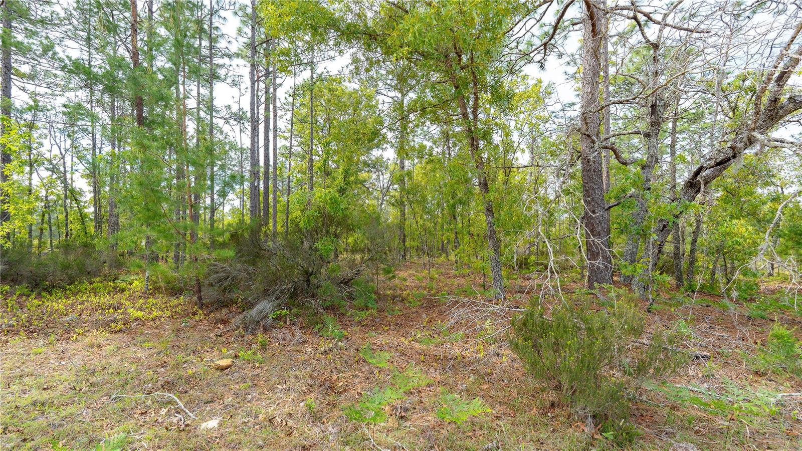 Image 26 of 44 For 230 Melrose Landing Drive