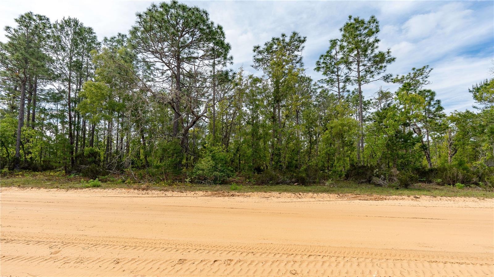 Image 28 of 44 For 230 Melrose Landing Drive