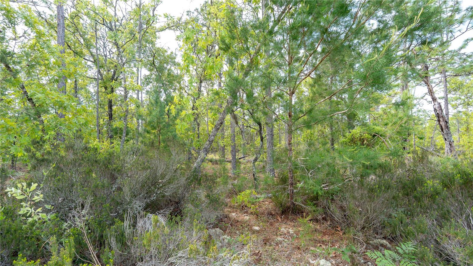 Image 33 of 44 For 230 Melrose Landing Drive