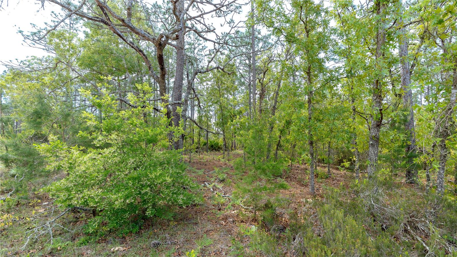 Image 34 of 44 For 230 Melrose Landing Drive