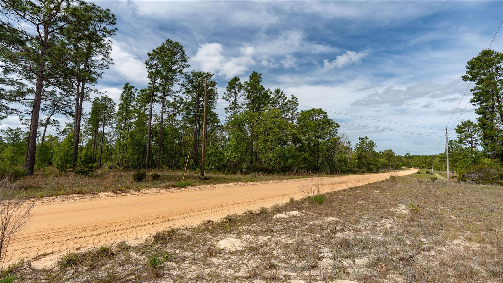 Image 38 of 44 For 230 Melrose Landing Drive