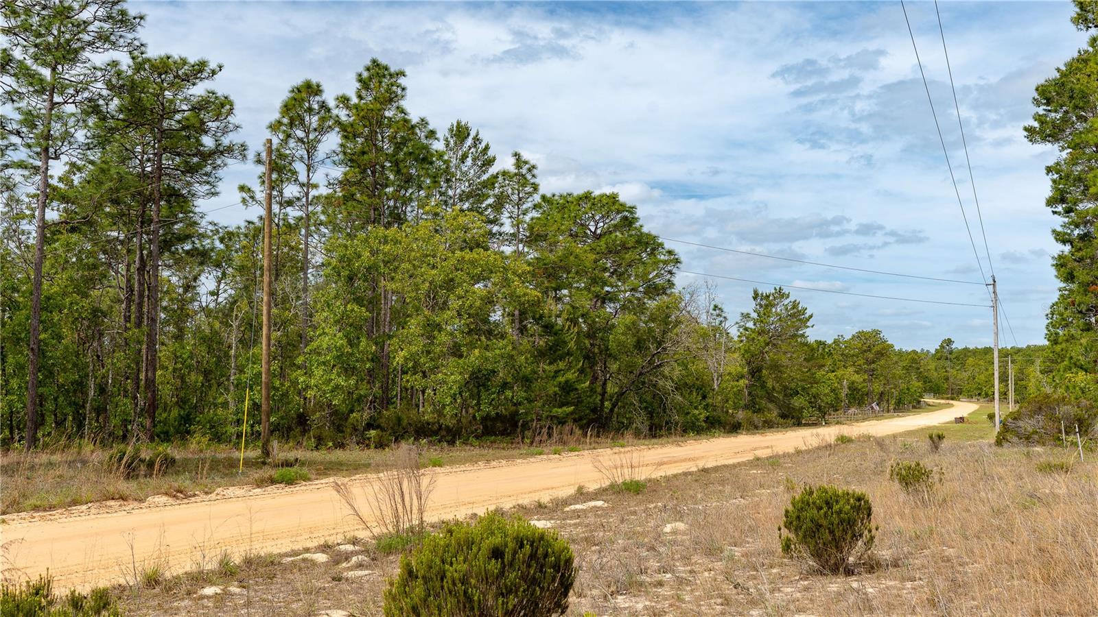 Image 43 of 44 For 230 Melrose Landing Drive