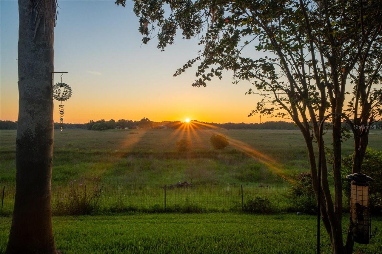 Details for 1472 Ivydale Road, SPRING HILL, FL 34606