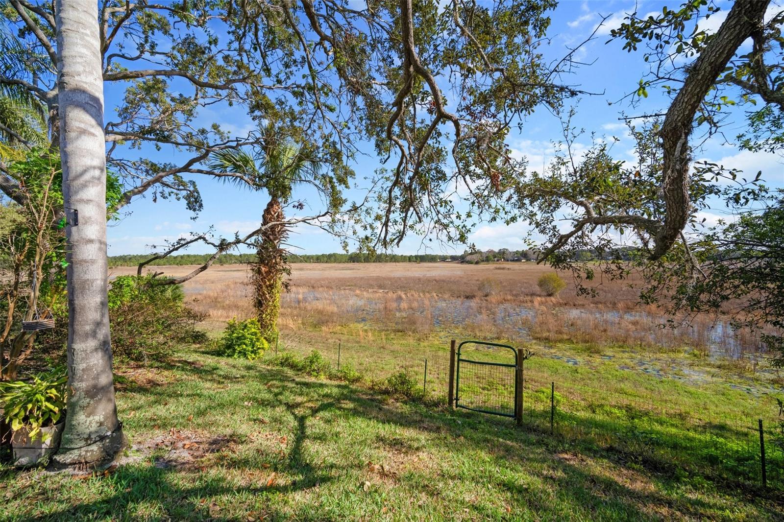 Image 31 of 46 For 1472 Ivydale Road