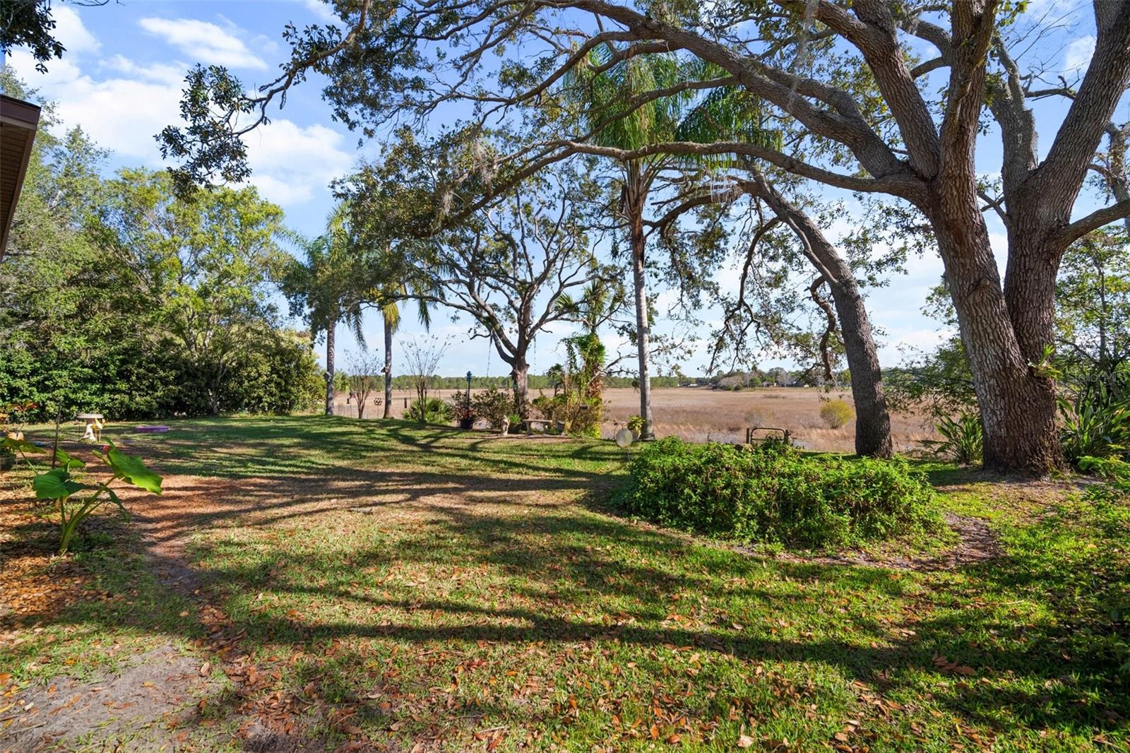 Image 38 of 46 For 1472 Ivydale Road