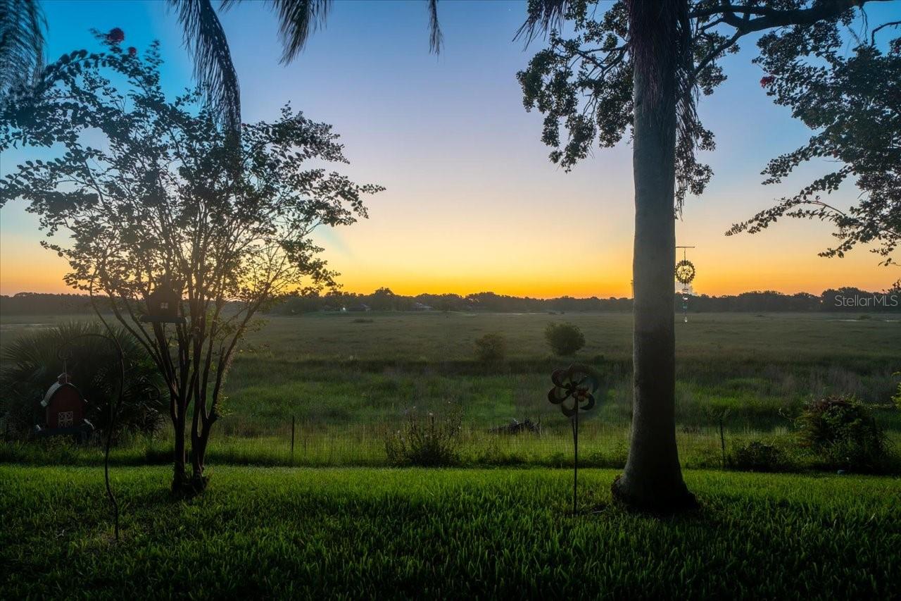 Image 41 of 46 For 1472 Ivydale Road