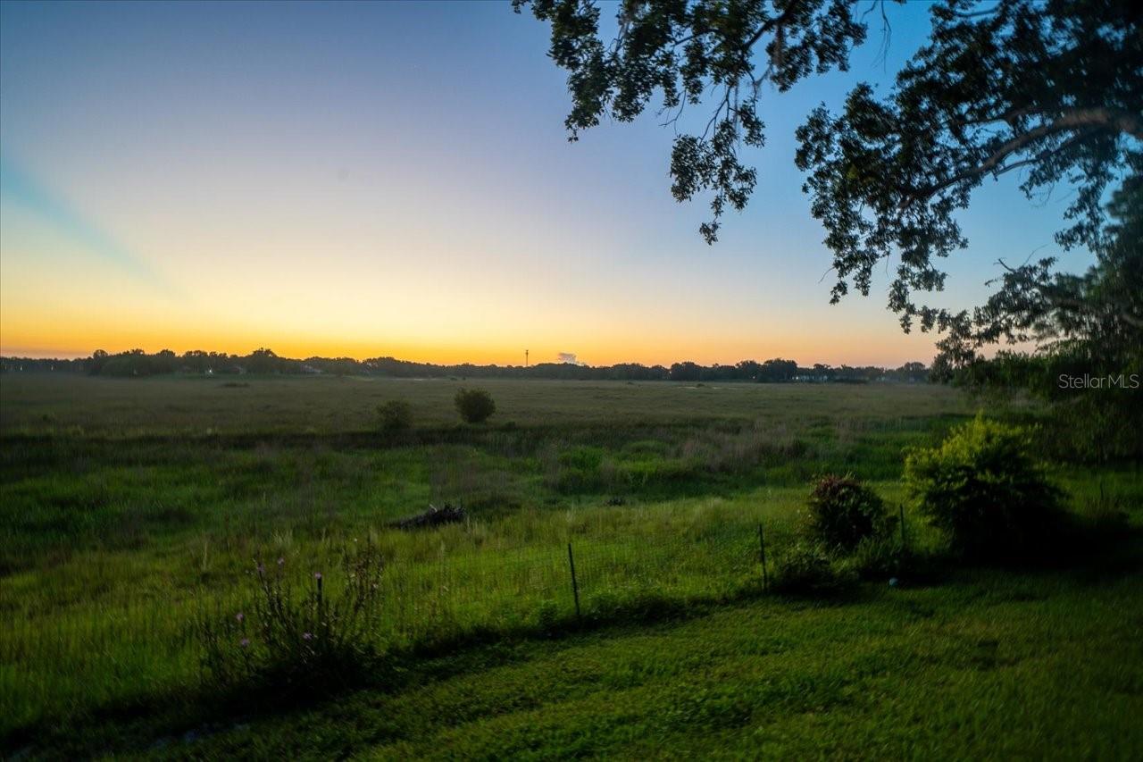 Image 42 of 46 For 1472 Ivydale Road