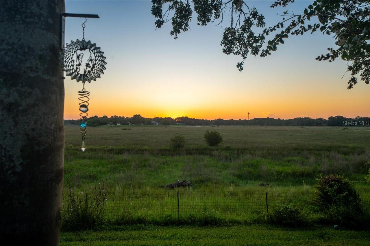 Image 43 of 46 For 1472 Ivydale Road