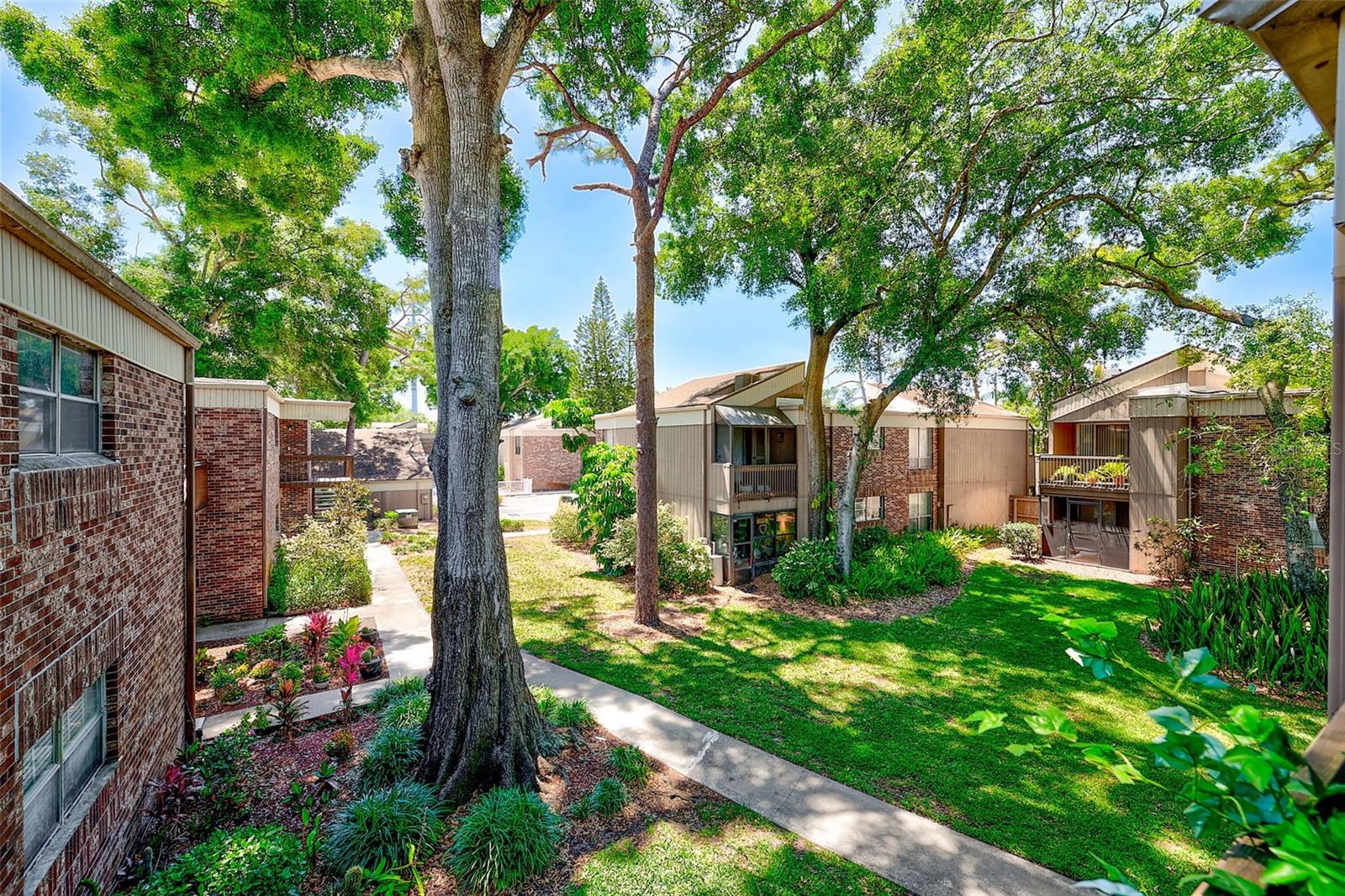 Image 26 of 39 For 10453 Carrollbrook Circle 222