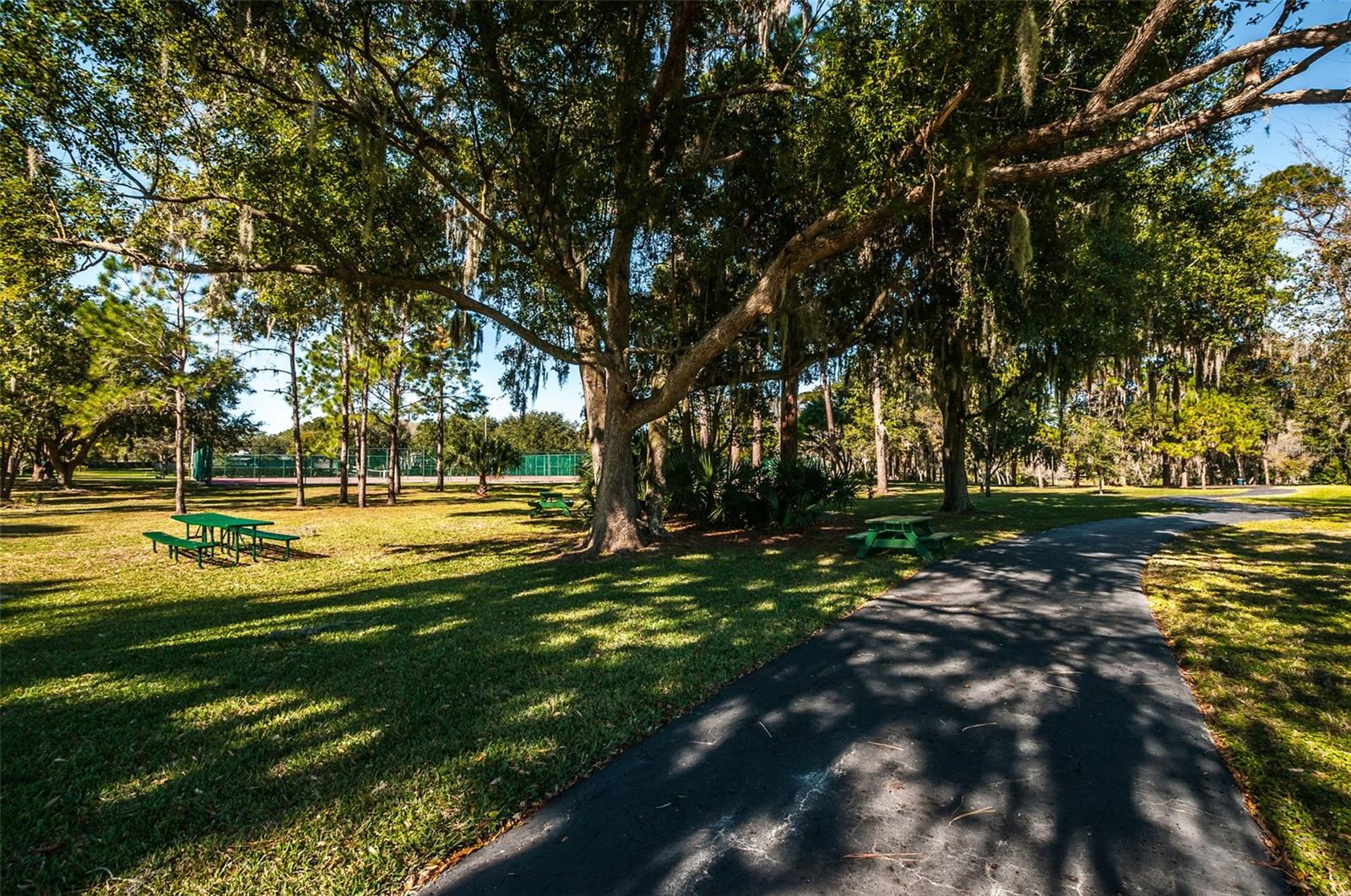 Listing photo id 94 for 760 Village Way