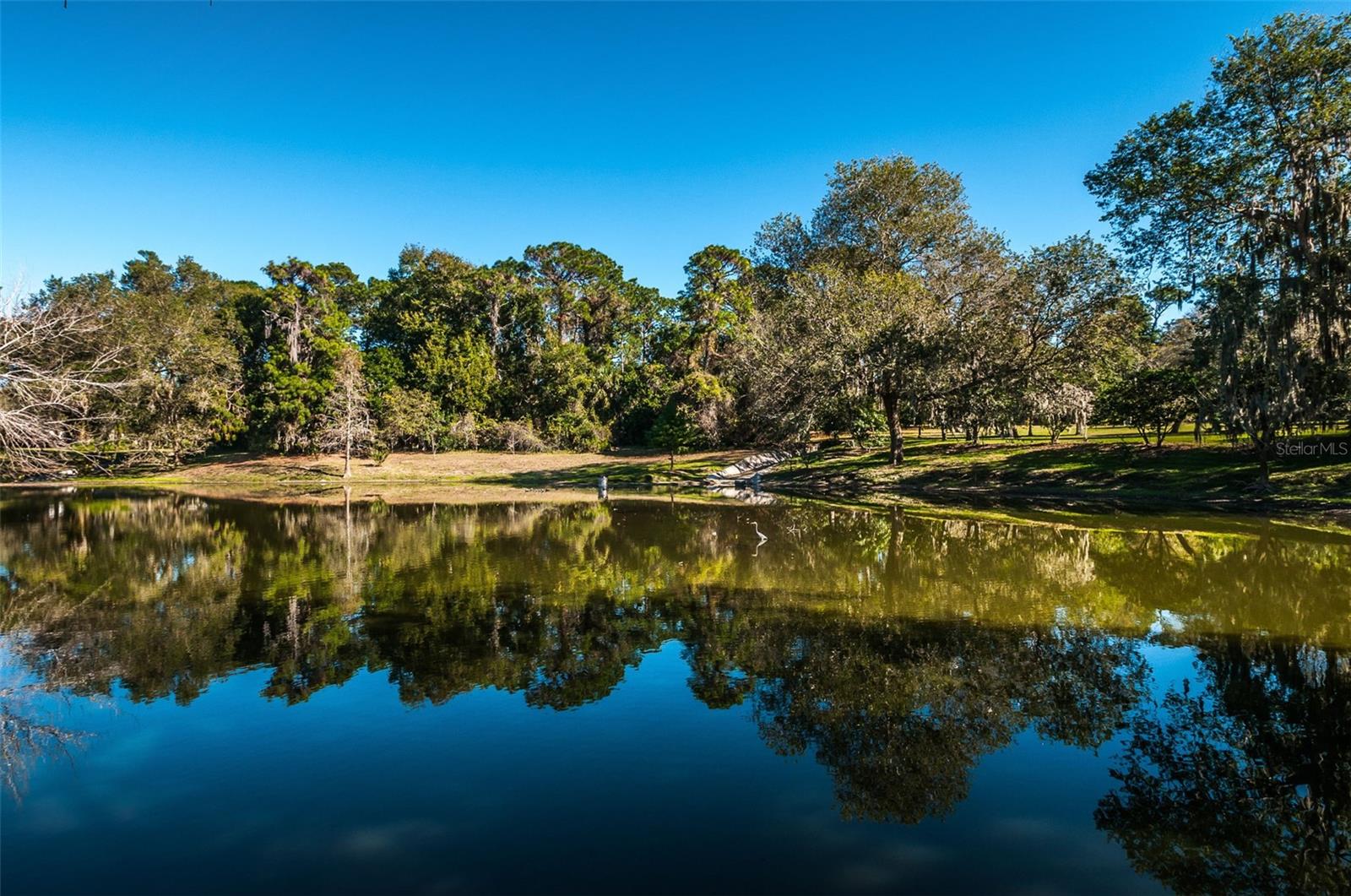 Listing photo id 97 for 760 Village Way