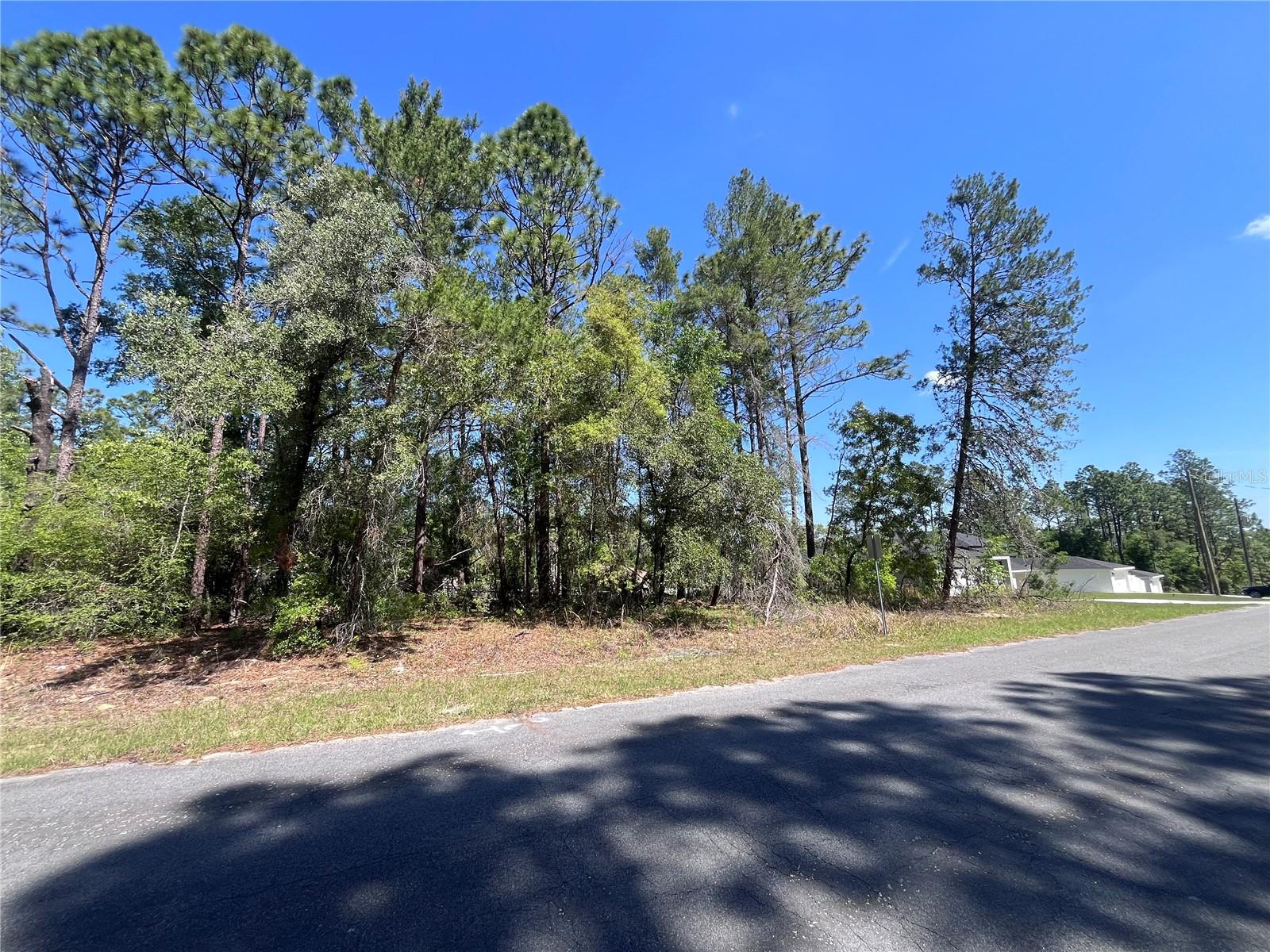 Image 8 of 8 For 8000 Pocono Drive