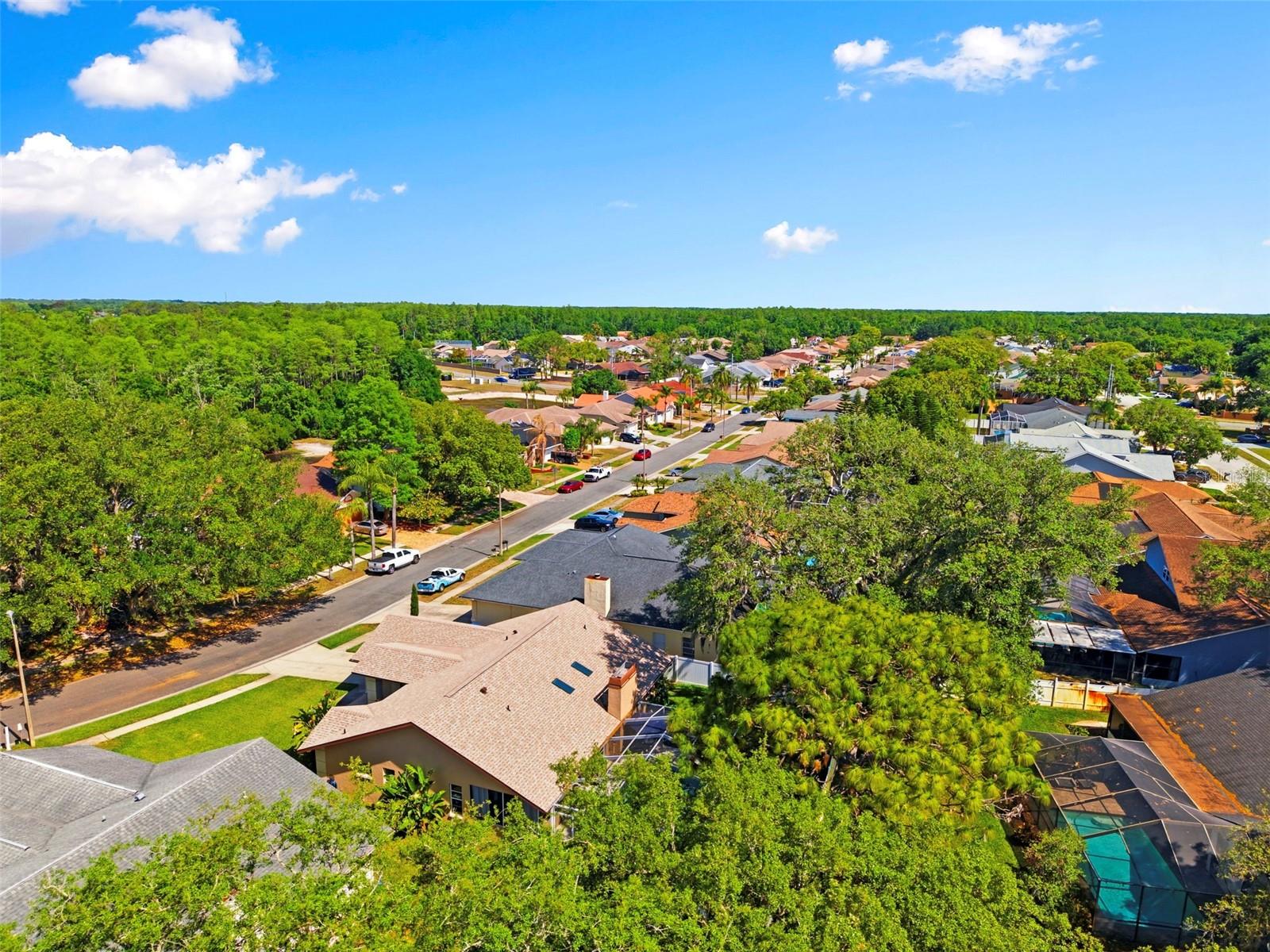 Image 49 of 52 For 5226 Saltamonte Drive