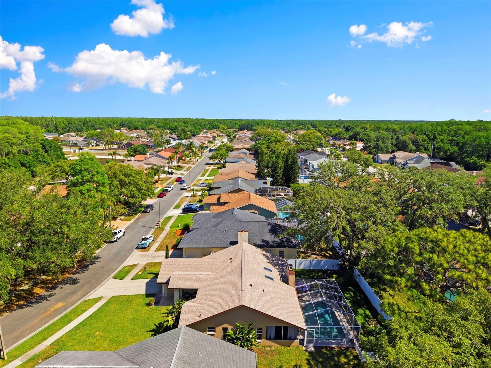 Image 50 of 52 For 5226 Saltamonte Drive